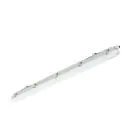 Philips LED Feuchtraumleuchte Ledinaire WT065C 23/42W 2900/4800lm - 840 Kaltweiß | 120cm
